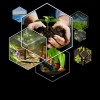 مهندسین مشاور آبیاری باران