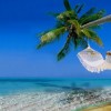 تور جزیره سیشل
