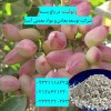 فروش زئولیت در باغ پسته