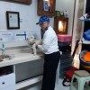 ویزیت دامپزشک در محل