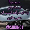 سودینو : یکبار ثبت نام کن و تا ابد درآمد کسب کن حت