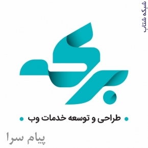    برکه خاص ترین شرکت طراحی سایت،