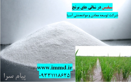فروش سیلیس شالی و برنج