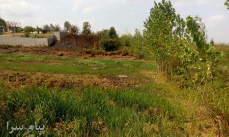 فروش 6910 متر زمین ویلایی لاهیجان کتشال بالا 