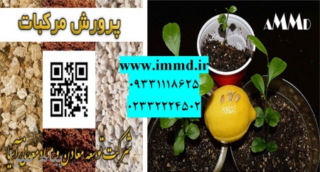بستر کشت نهال