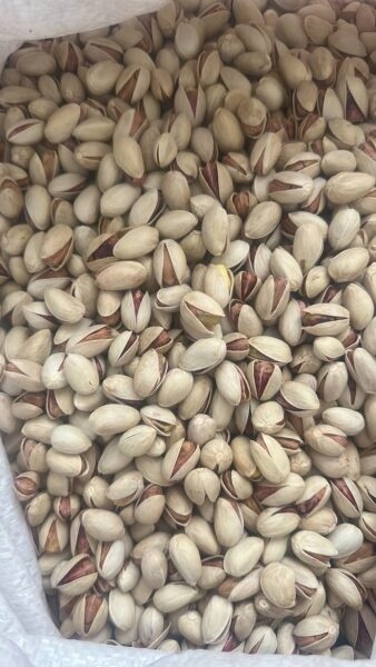 انواع پسته : اکبری ، احمد آقایی ، کله قوچی و فندوق