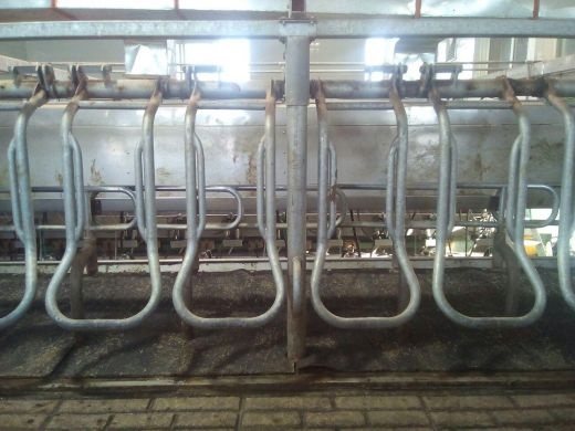 خدمات  پانچ و خمcnc  لوله های فولادی استیل الومینی