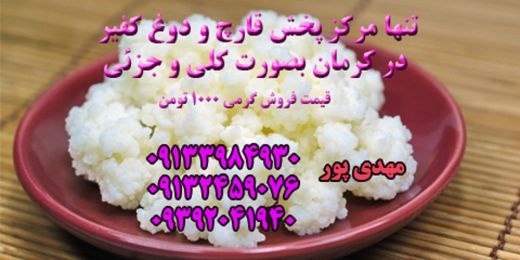 مرکز پخش قارچ کفیر عمده و جزئی در سرتاسر ایران با کیفیت عالی