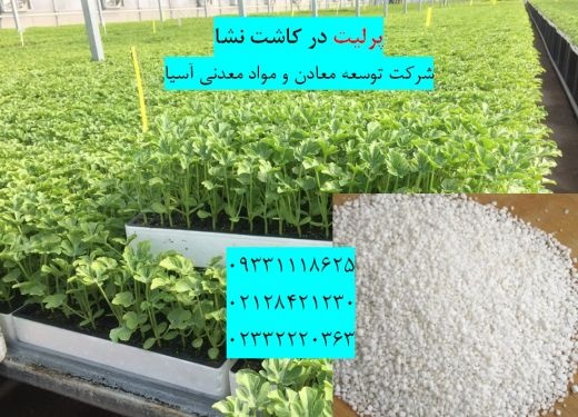 فروش پرلیت در کاشت نشا انواع گیاهان
