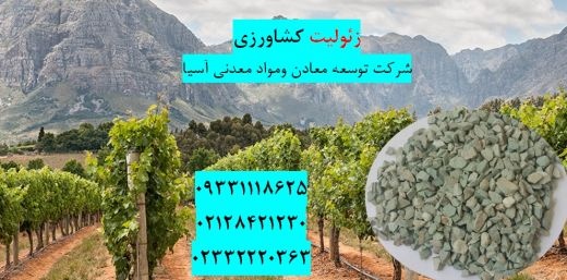 فروش زئولیت ویژه خاک کشاورزی