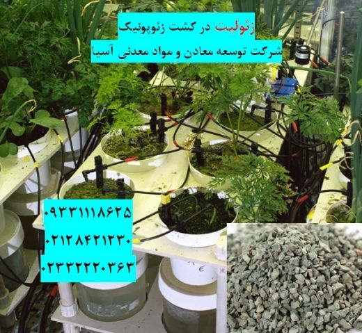 فروش زئولیت ویژه کشت زئوپونیک