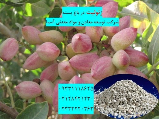 فروش زئولیت در باغ پسته