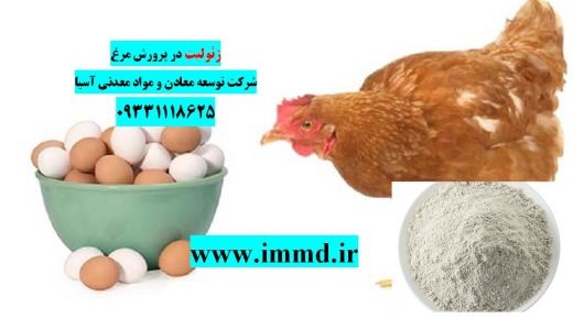 فروش زئولیت در پرورش جوجه