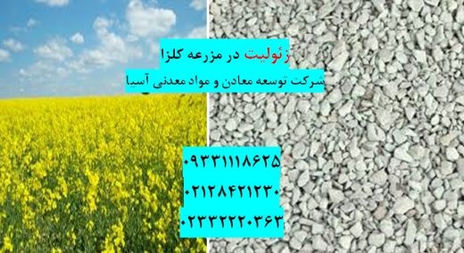 فروش زئولیت در کشت کلزا