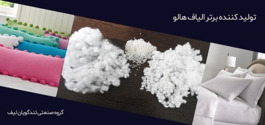 گروه صنعتی تندگویان لیف