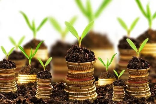 تامین مالی از طریق ال سی