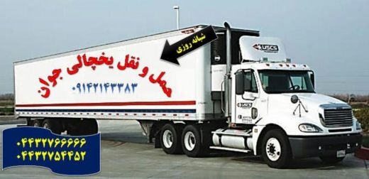 حمل و نقل و باربری یخچالداران کاشان