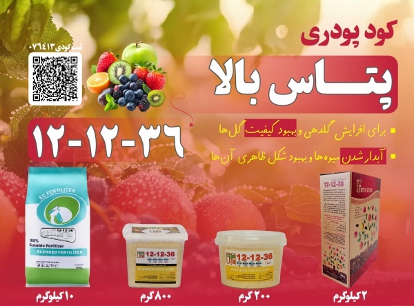 کود پودری N.P.K  برای درشت شدن میوه