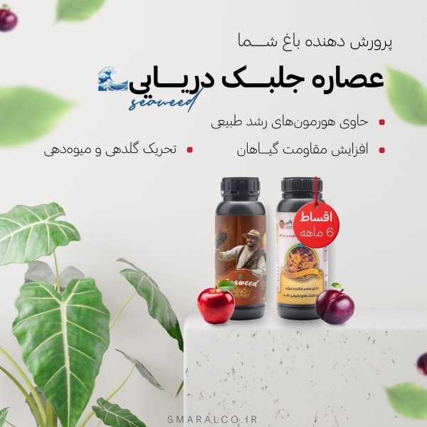 کود جلیک دریایی در اقساط بلند مدت