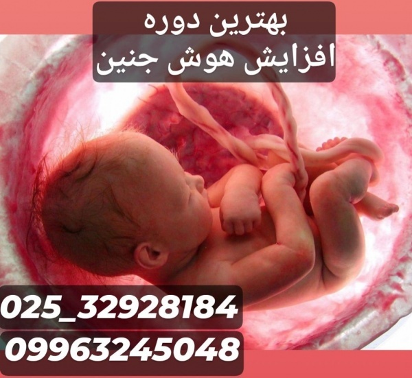 بهترین دوره برای افزایش هوش جنین